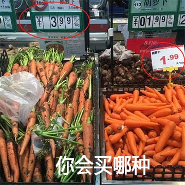 哈尔滨品牌策划